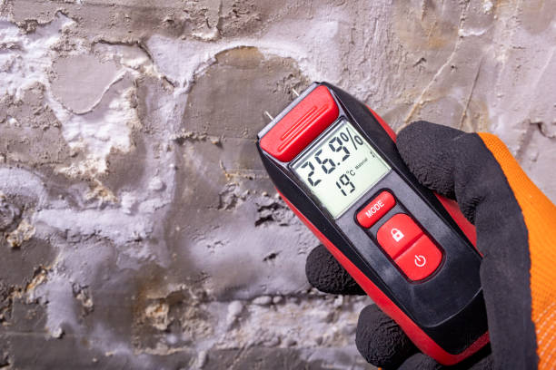 Mold Removal and Inspection in Monaca, PA